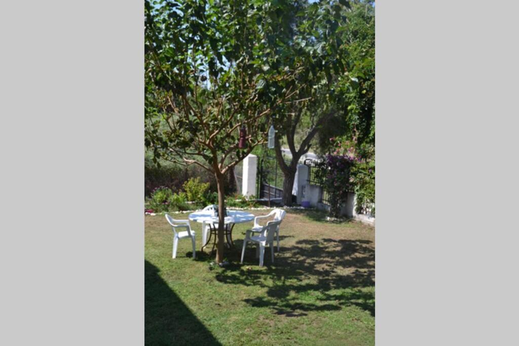 Beach House Into The Green! Preveza Buitenkant foto