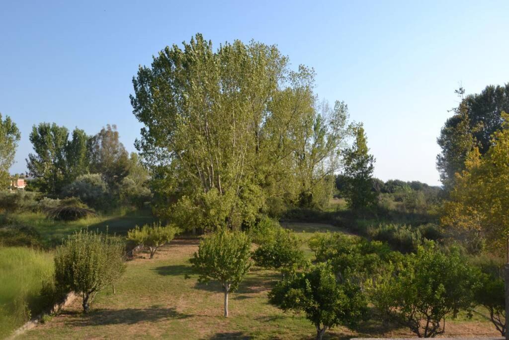 Beach House Into The Green! Preveza Buitenkant foto