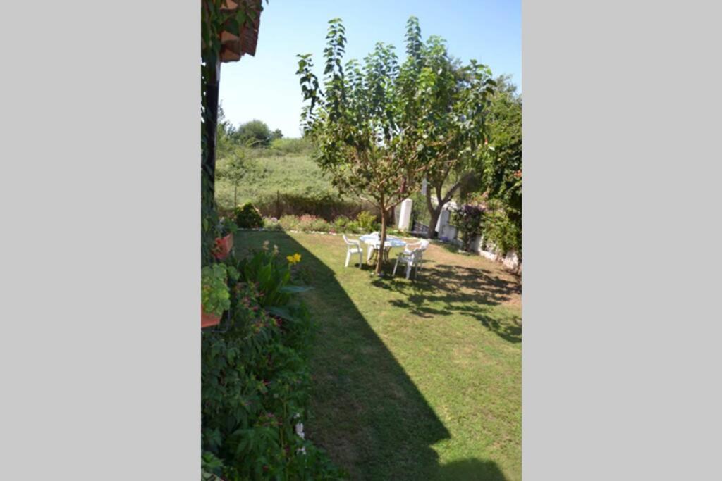 Beach House Into The Green! Preveza Buitenkant foto