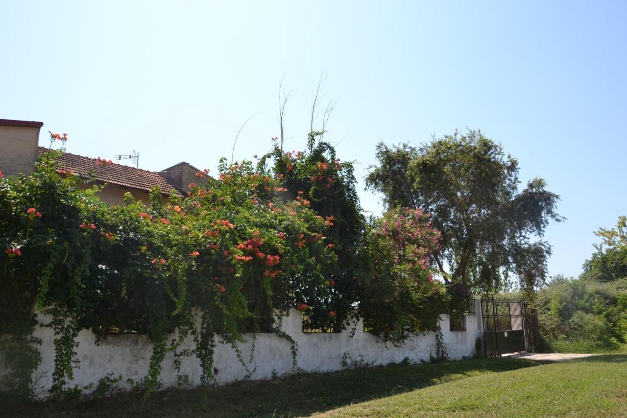 Beach House Into The Green! Preveza Buitenkant foto