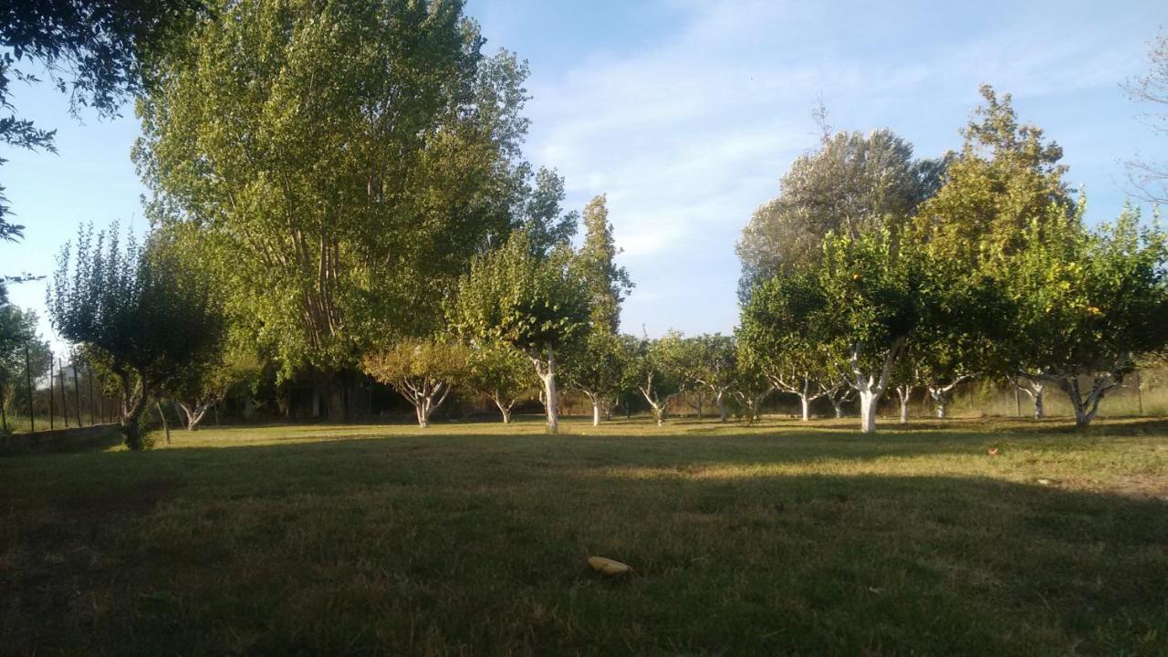 Beach House Into The Green! Preveza Buitenkant foto