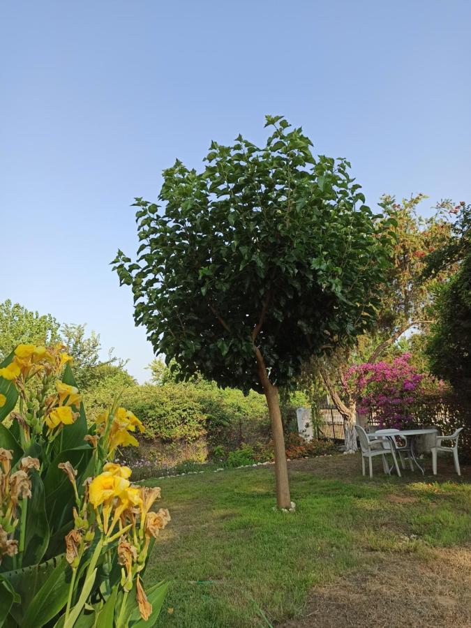 Beach House Into The Green! Preveza Buitenkant foto